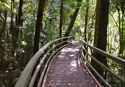 New Zealand Travel Offer