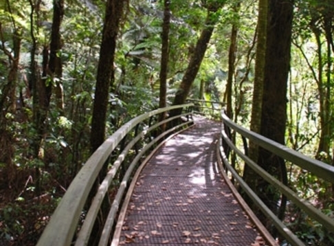 Adventure Puketi