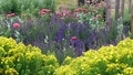 The summer garden, at Phytofarm