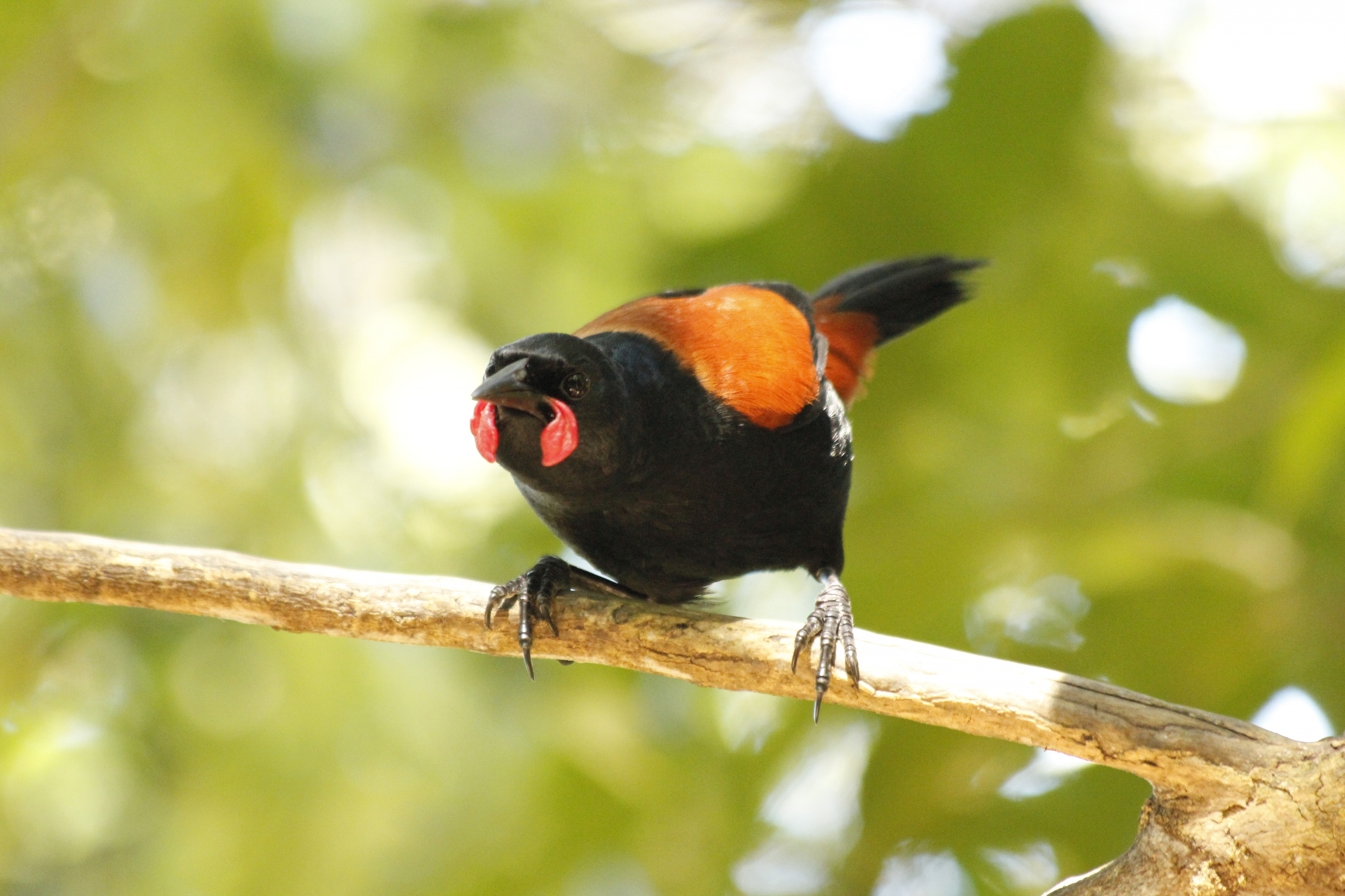 New Zealand Tourism Travel Destiations