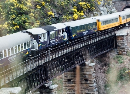 Dunedin
