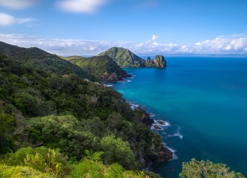 Coromandel