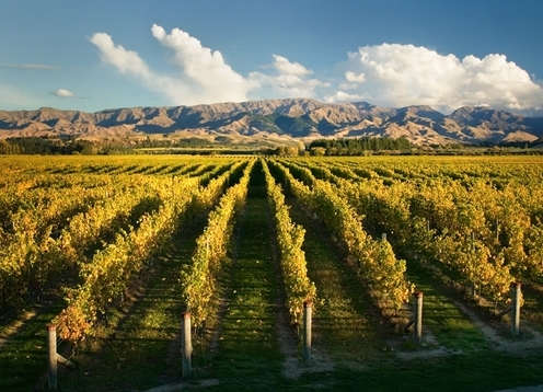 Marlborough
