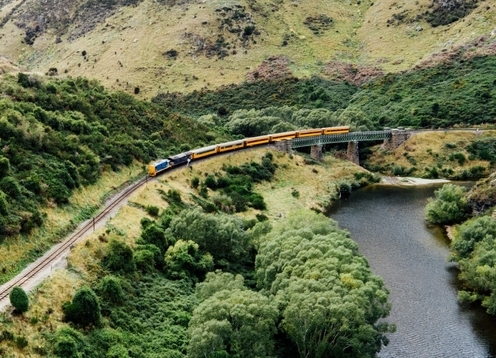Dunedin
