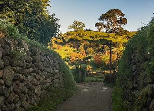 Waikato