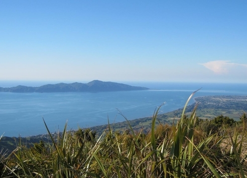 Kāpiti Coast