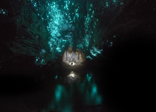 Waikato