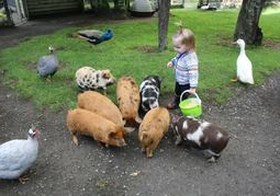 New Zealand Travel Offer