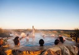 New Zealand Travel Offer