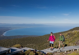 New Zealand Travel Offer