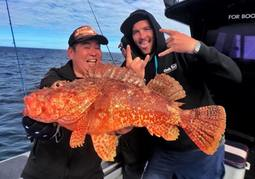 New Zealand Travel Offer