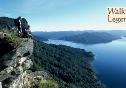 New Zealand Travel Offer