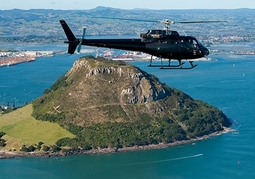 New Zealand Travel Offer