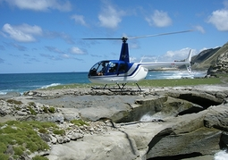 New Zealand Travel Offer