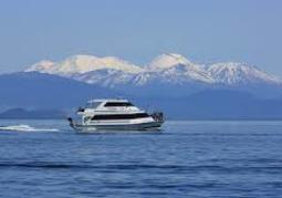 New Zealand Travel Offer