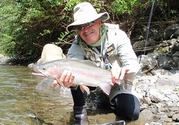 New Zealand Travel Offer