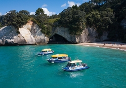 New Zealand Travel Offer