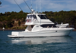 New Zealand Travel Offer