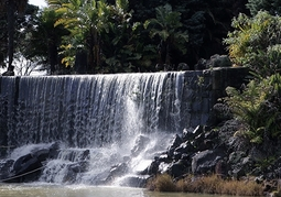 New Zealand Travel Offer