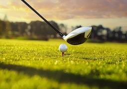 New Zealand Travel Offer