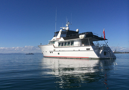 New Zealand Travel Offer