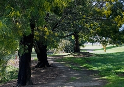 New Zealand Travel Offer