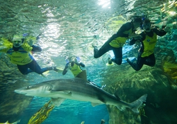 New Zealand Travel Offer