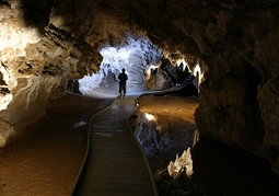 New Zealand Travel Offer