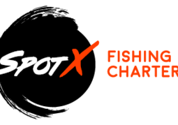 New Zealand Travel Offer