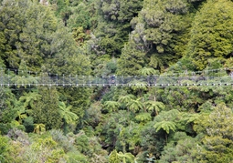 New Zealand Travel Offer