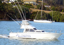 New Zealand Travel Offer