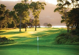 New Zealand Travel Offer