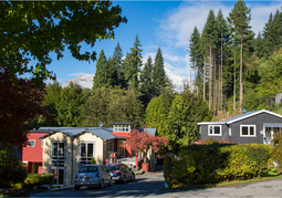 New Zealand Travel Offer