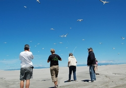New Zealand Travel Offer