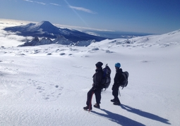 New Zealand Travel Offer