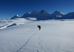 New Zealand Travel Offer