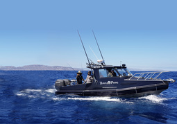 New Zealand Travel Offer