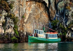 New Zealand Travel Offer