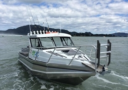 New Zealand Travel Offer