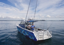 New Zealand Travel Offer