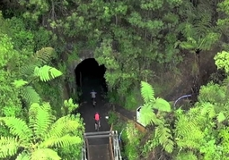 New Zealand Travel Offer