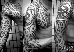 New Zealand Travel Offer