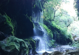 New Zealand Travel Offer