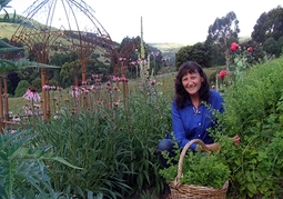 New Zealand Travel Offer