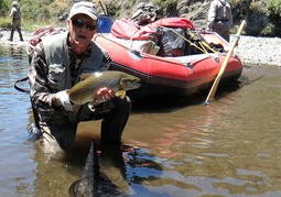 New Zealand Travel Offer