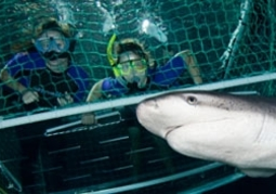 New Zealand Travel Offer