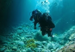 New Zealand Travel Offer