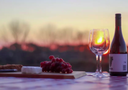 New Zealand Travel Offer