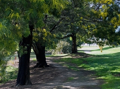 Hawke's Bay Golf Club Inc