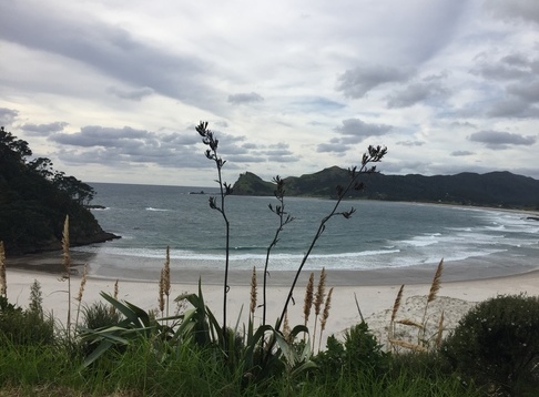 Chatham Islands